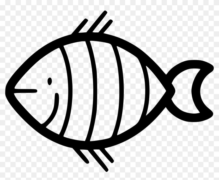 Clown Fish - Dibujos En Blanco Y Negro De Peces Para Colorear, HD Png