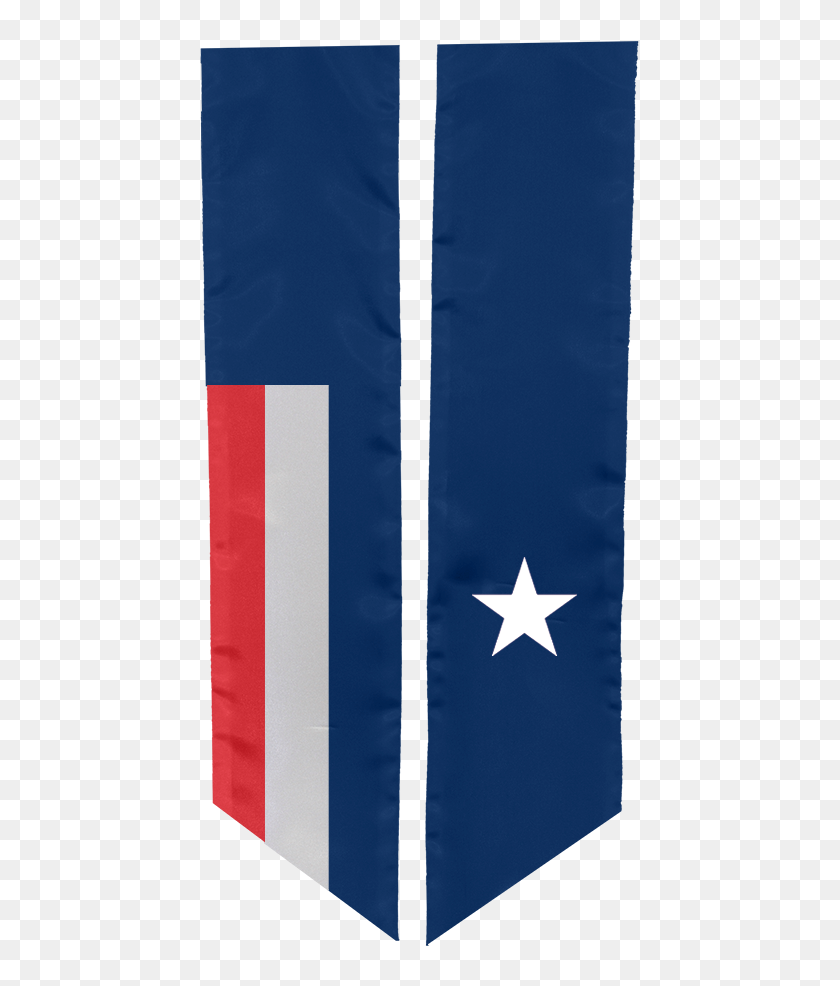 Study Abroad Sash For Chile - Оливковая Ветвь Для Герба, HD Png ...