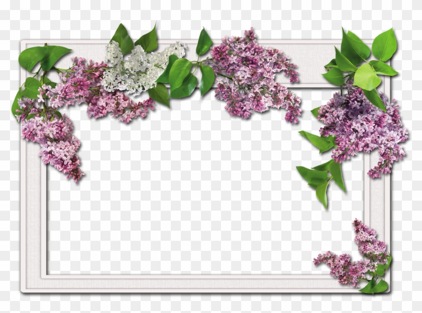 Spring Flowers Background​  Gallery Yopriceville - High-Quality Free Images  and Transparent PNG Clipart