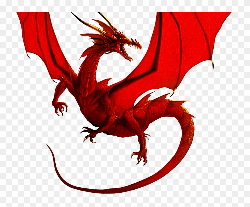 Red Dragon Photo Reddragon - Dragon Psd, HD Png Download - 729x613 ...