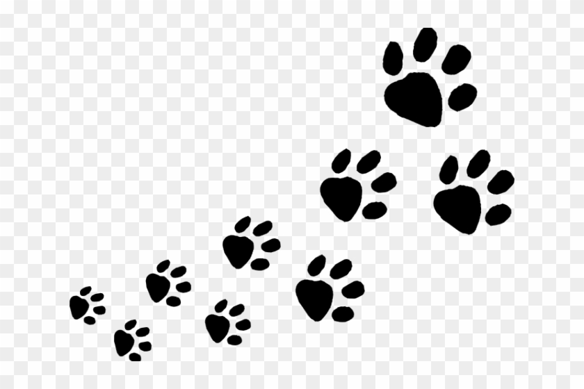 Dog Footprint Png, Transparent Png - 640x480 (#765004) - PinPng