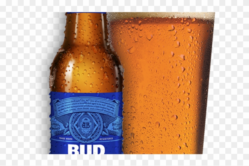 Bud Light Clipart Cerveza - Beer Bottle, HD Png Download - 640x480 ...