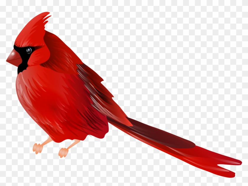 Old Arizona Cardinals Logo - Free Transparent PNG Clipart Images Download