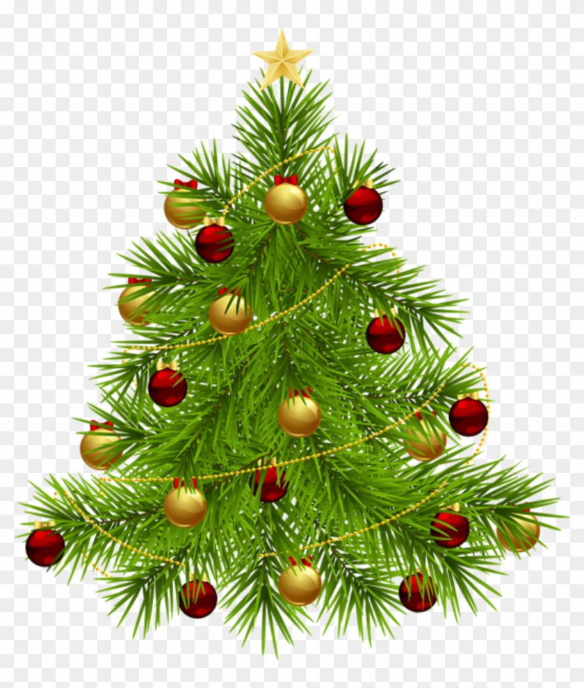 Christmas Tree Png Christmas Png Transparent Background Png Download 528x600 87634 PinPng