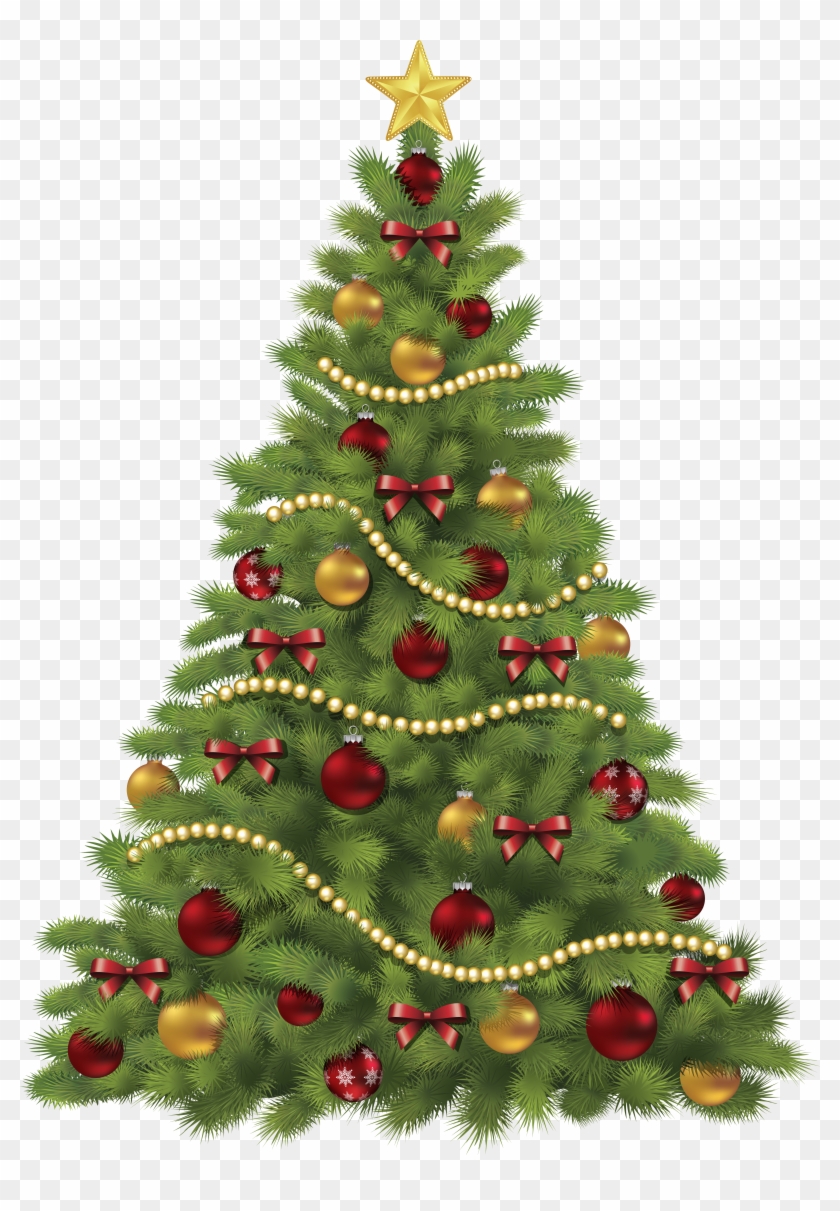 Christmas Tree Png, Transparent Png - 4599x6415 (#87998) - PinPng