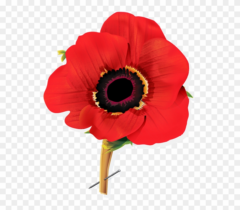 Vectorillustrations-9a Poppy - Poppy Vector Png, Transparent Png 