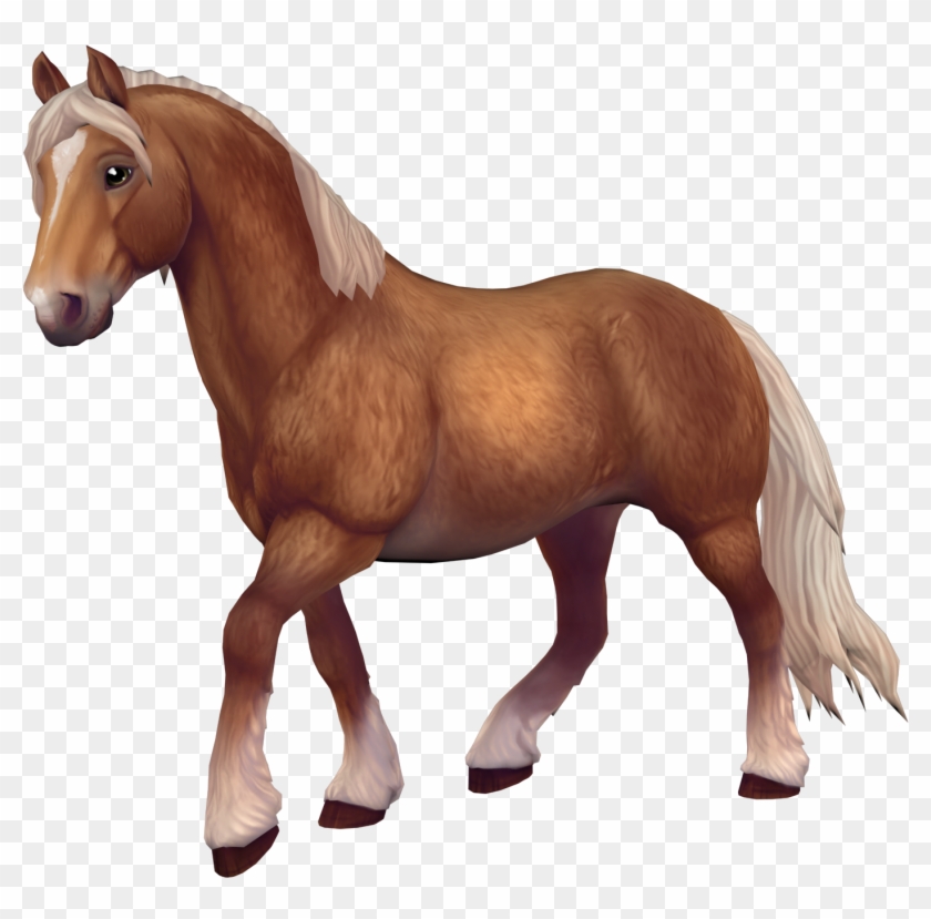 Fjord Horse Star Stable Horses Hd Png Download 1812x1584