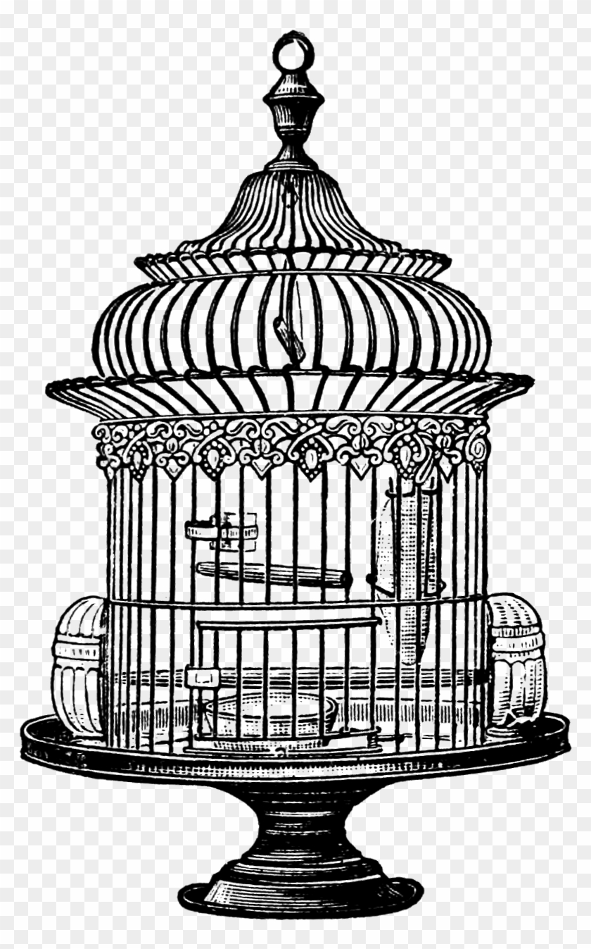 Birdcage Clipart Open Door - Vintage Bird Cage Png, Transparent Png ...