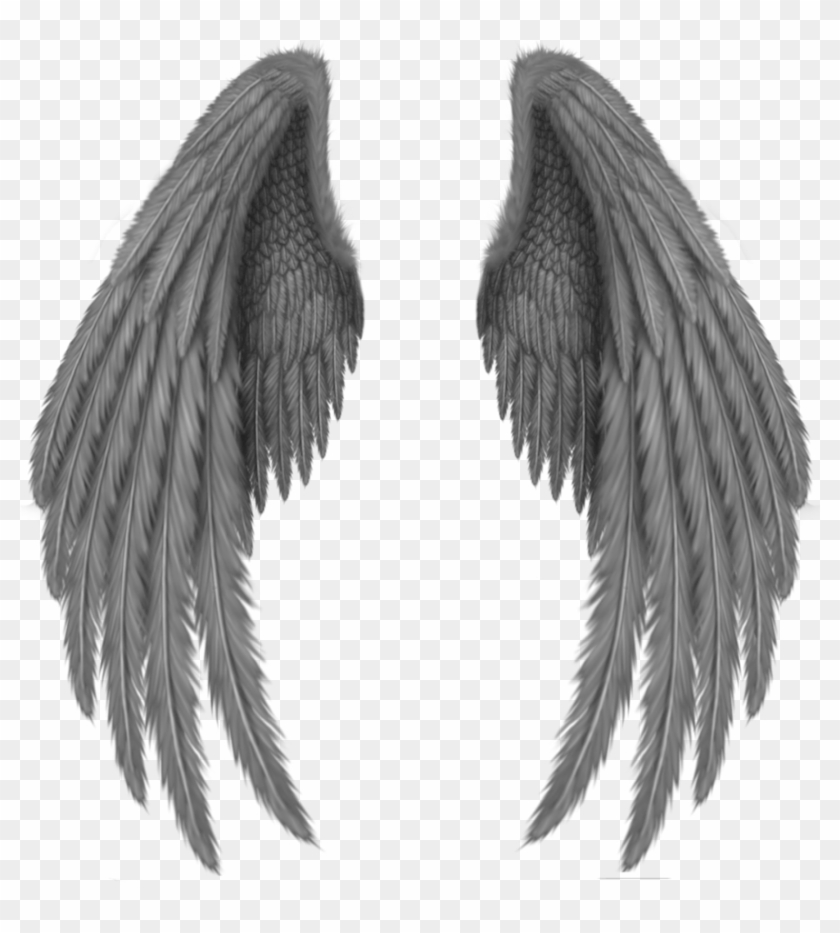 Black Wings - Black Angel Wings Png, Transparent Png - 1856x1862 ...