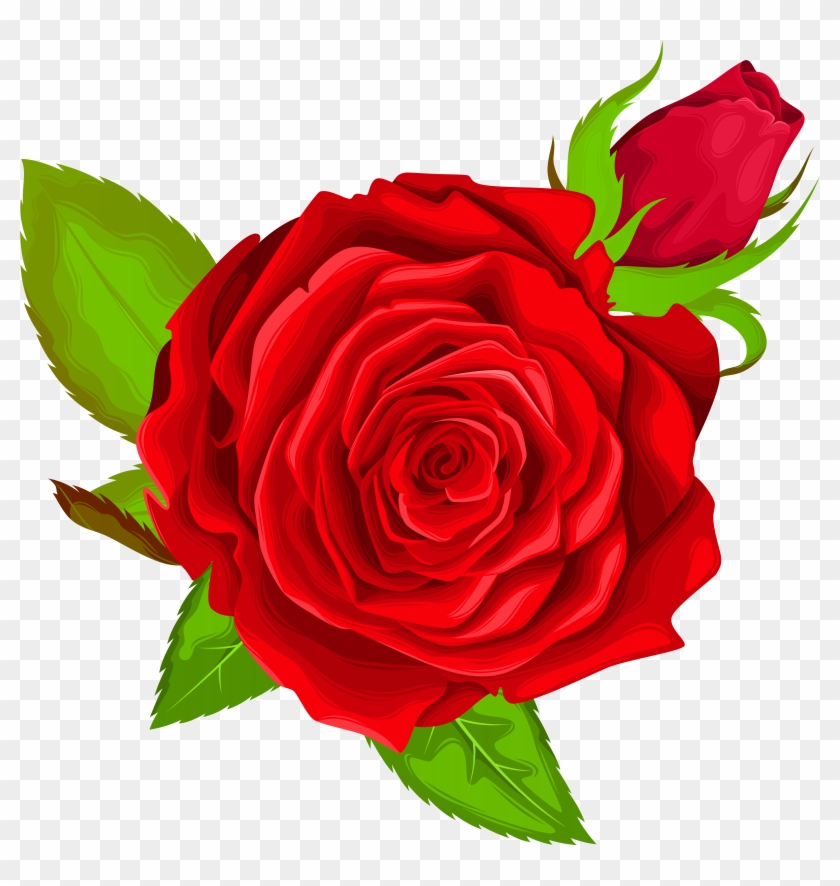 Beauty And The Beast Rose Png, Transparent Png - 7942x8000 (#876091 ...