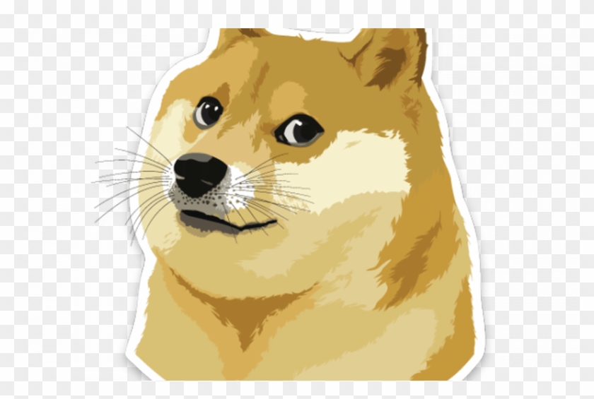 Doge Meme Cartoon