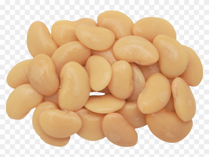 Beans - Sweet White Bean, HD Png Download - 866x650 (#937893) - PinPng