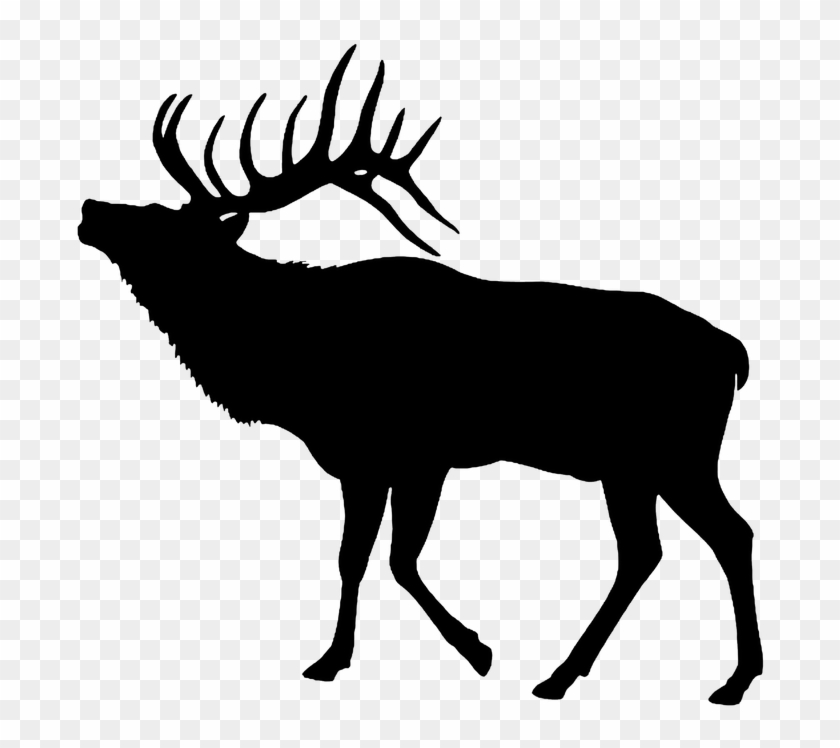 Elk, Silhouette, Cut Out, Stag, Bull - Elk Clipart, HD Png Download ...