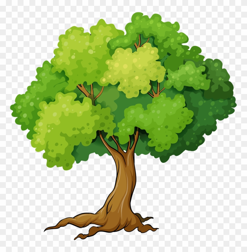 2 - Tree Cartoon Png, Transparent Png - 800x800 (#983289) - PinPng