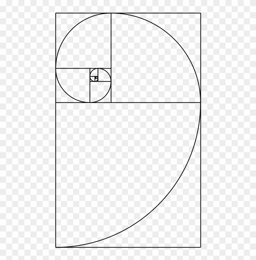 Is The Nautilus Shell Spiral Actually A Golden Spiral - Fibonacci ...